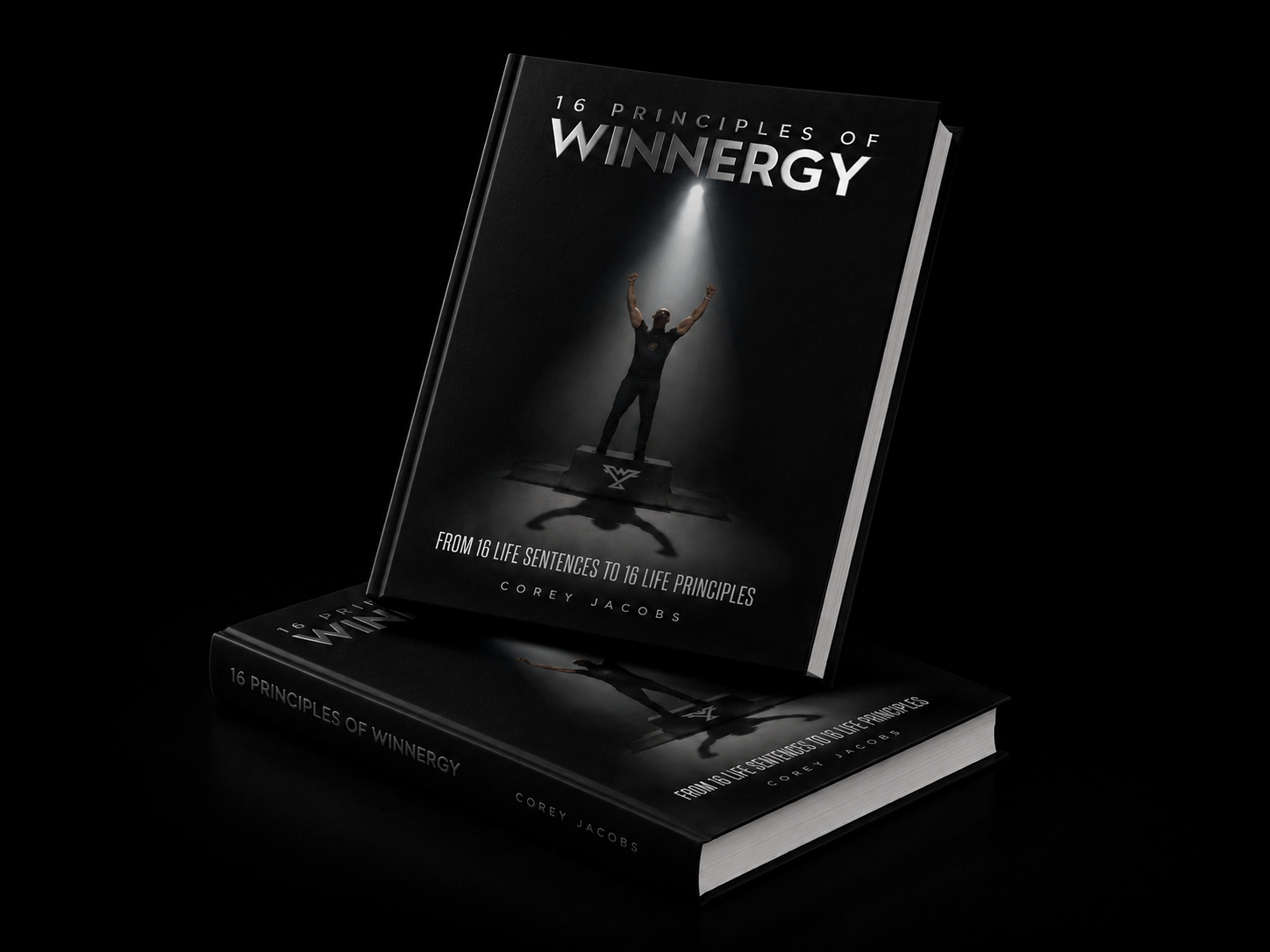 16 Principles of Winnergy